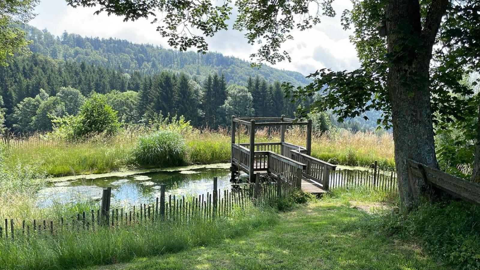 Berghuette Am Grandsberg *