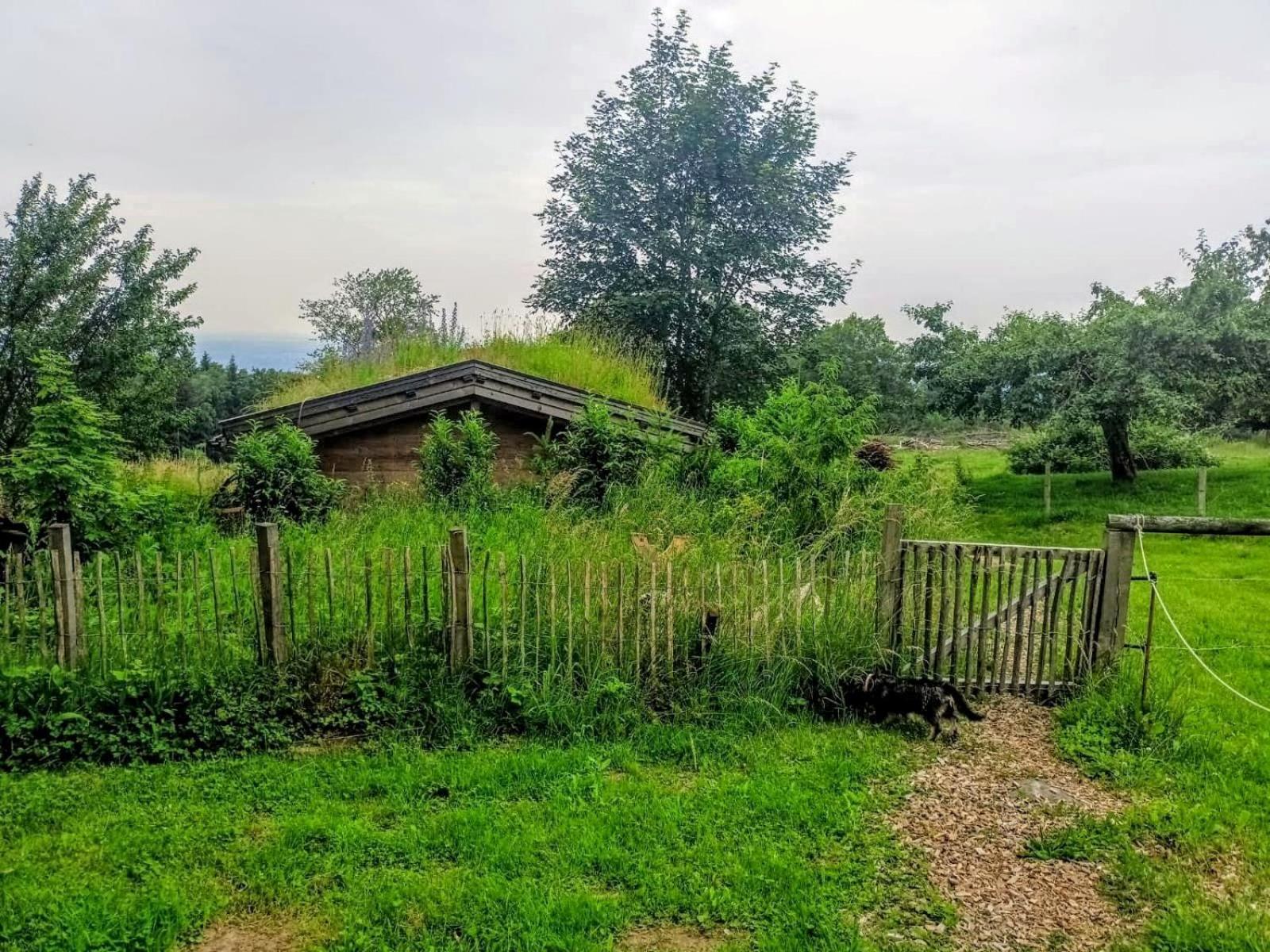 Vakantiehuis Berghuette Am Grandsberg *