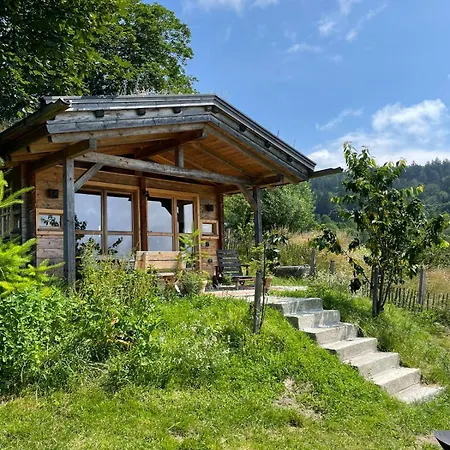 Villa Berghuette Am Grandsberg Schwarzach Exterior foto