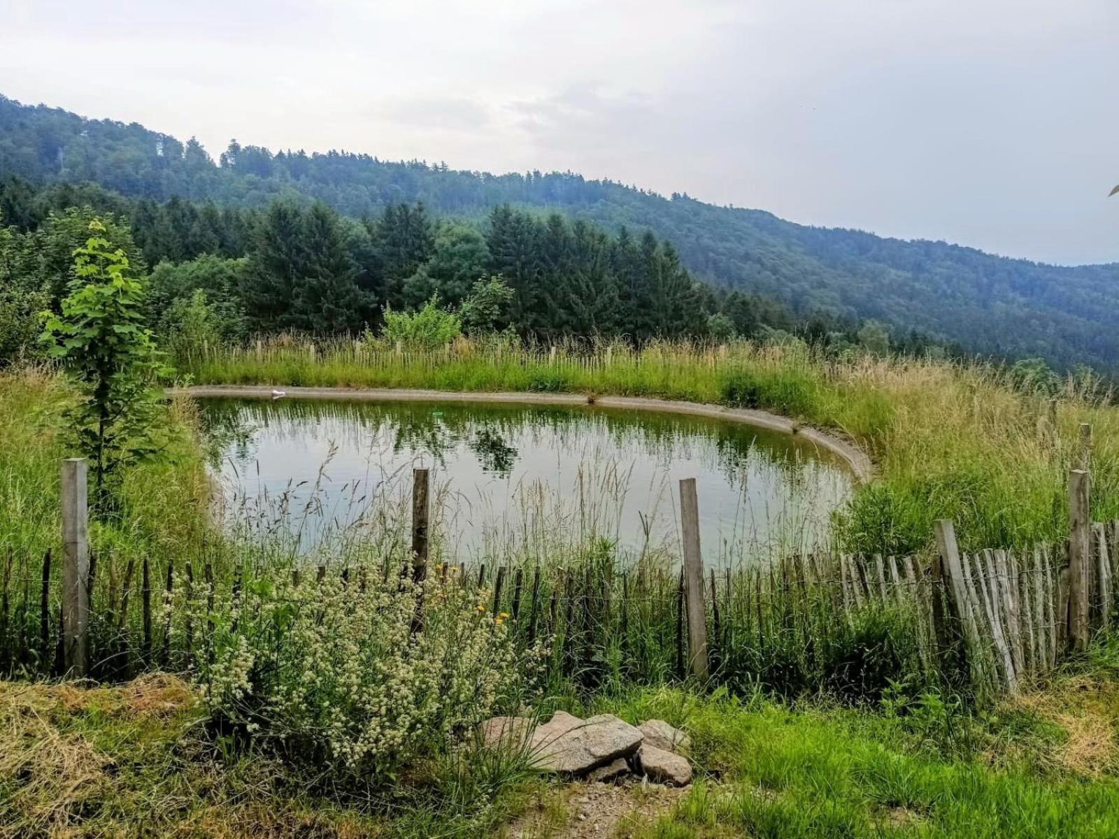 Berghuette Am Grandsberg * Schwarzach